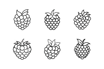 raspberries line art vector illustration