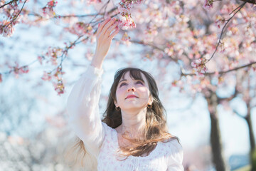 桜の花を楽しむ女性