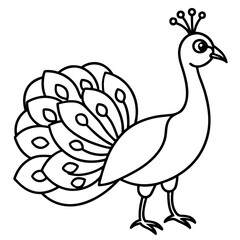 Cute Line Art Peacock Silhouette Black Vector Illustration