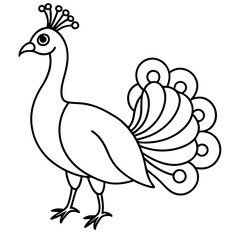 Cute Line Art Peacock Silhouette Black Vector Illustration
