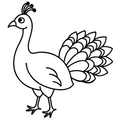 Cute Line Art Peacock Silhouette Black Vector Illustration