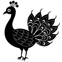 Cute Line Art Peacock Silhouette Black Vector Illustration