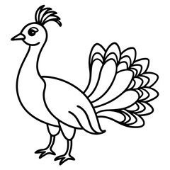 Cute Line Art Peacock Silhouette Black Vector Illustration