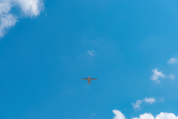 空港から飛び立つ飛行機