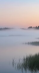 Tranquil sunrise over misty lake with calm water and gentle reeds