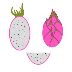 A set of vector illustrations of the dragon fruit.