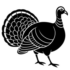 Cute Line Art Turkey Silhouette Black Vector Illustration