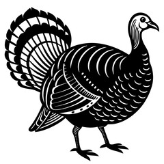 Cute Line Art Turkey Silhouette Black Vector Illustration