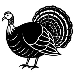 Cute Line Art Turkey Silhouette Black Vector Illustration