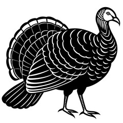 Cute Line Art Turkey Silhouette Black Vector Illustration