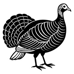 Cute Line Art Turkey Silhouette Black Vector Illustration