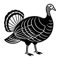Cute Line Art Turkey Silhouette Black Vector Illustration