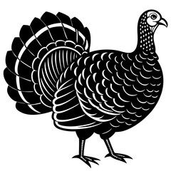 Cute Line Art Turkey Silhouette Black Vector Illustration
