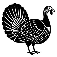 Cute Line Art Turkey Silhouette Black Vector Illustration