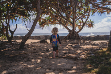 Curly haired toddler exploring beach scene in the shade