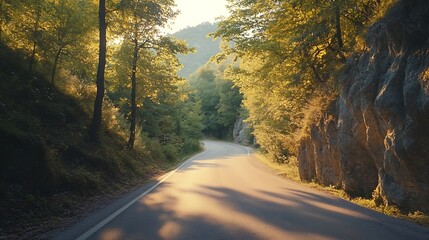 Obraz premium Serene Sunset Drive Through Lush Forest