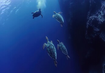 Fototapeta premium Underwater Scene with Sea Turtles Swimming Gracefully in Deep Blue Ocean Emphasizing Marine Life and Coral Reef Ecosystem Conservation
