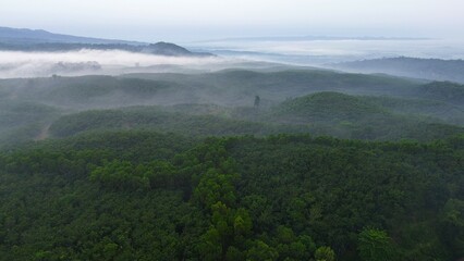 Naklejka premium Dramatic Aerial drone view of hills with lush green trees with morning mist above with a background of rows of mountains