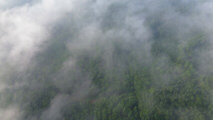 Obraz premium Dramatic Aerial drone view of hills with lush green trees with morning mist above with a background of rows of mountains
