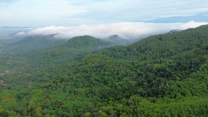 Obraz premium Dramatic Aerial drone view of hills with lush green trees with morning mist above with a background of rows of mountains