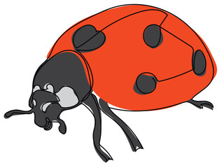 Ladybug in continuous line style on a white background.
