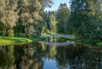 A wooden bridge over the pond 
