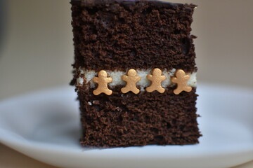a piece of chocolate birthday cake. monochrome background. free space for text