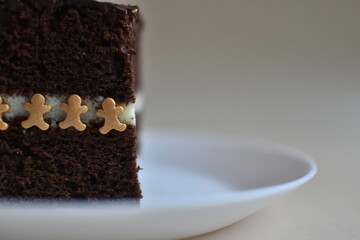 a piece of chocolate birthday cake. monochrome background. free space for text