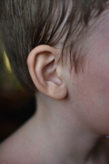 close-up of the anatomy of the human ear. International Day for the Protection of Ear and Hearing...