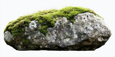 Lush Green Moss Covered Rock in Nature with Soft Textures and Vibrant Colors, Perfect for Natural Scenery or Outdoor Themes