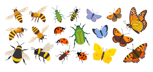 Vector set of insects and pollinators, honey bees, bumblebees, butterflies and beetles isolated on white background