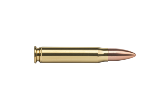 bullet
