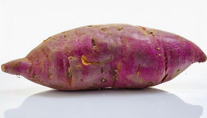 Single purple sweet potato on white background.