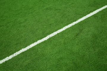 Fototapeta premium green grass with white line
