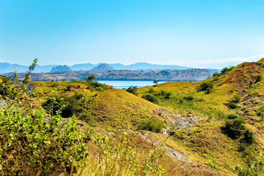 Island Rinca, Komodo National Park, Flores, Indonesia, Southeast Asia.