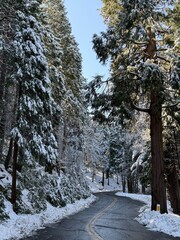 snow covered road