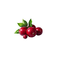 Obraz premium Close-up of cranberries with green leaves on white background