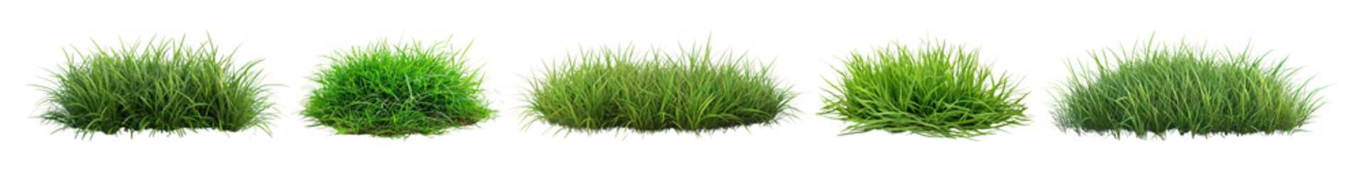 Obraz premium PNG Photo of grass bush, element set on transparent background