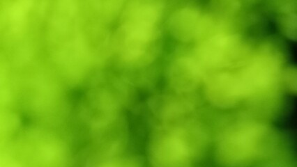 Close up of green colour with blur background	