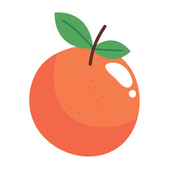 Orange fruit illustration