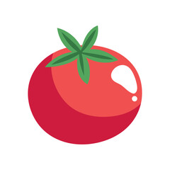 Red tomato illustration