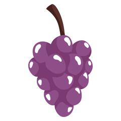 Purple grapes illustration