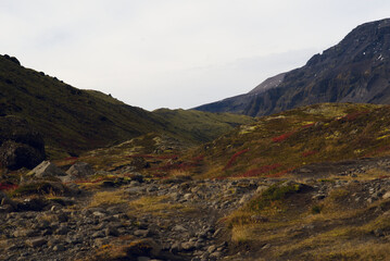 Breathtaking Icelandic landscapes featuring majestic mountains, dramatic skies, and untouched nature. Capturing the raw beauty of Iceland’s wilderness