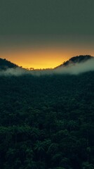 Obraz premium Lush Jungle Sunrise Aerial View of Tropical Rainforest