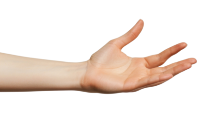 PNG Woman hand finger adult