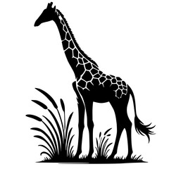 Silhouette of a giraffe
