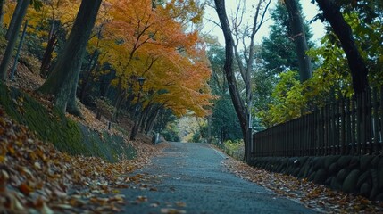 Obraz premium Autumnal path with colorful foliage and a dark paved road leading into the distance