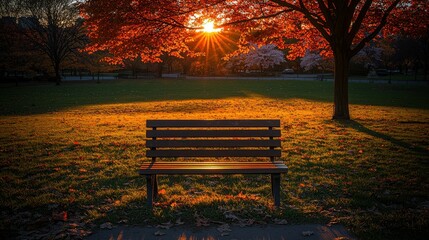 Peaceful morning in the park, with a lush green grass field, trees in full bloom, and the early light bringing warmth and color to the landscape.