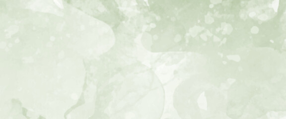 vector soft green watercolor background painting on paper texture.
