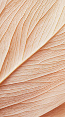 Delicate Leaf Texture: A Study in Natural Beauty - Phone Wallpaper